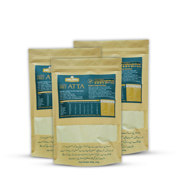 Gluten-Free Multi Purpose Atta | Multi-Nutrient Flour Blend | 2850g